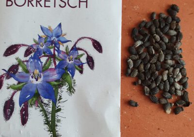 Kita Pfiffikus - Bienenretter