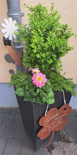 Betreutes Wohnen Lengenfeld - neue Bepflanzung
