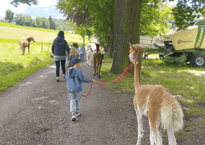 Kita Zwergenland Rodewisch - Zuckertütenfest