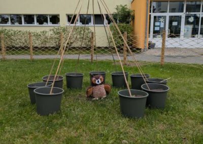 Kita Sonnenschein - Maskottchen Fritzi im Naschgarten