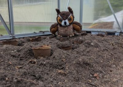 Kita Sonnenschein - Maskottchen Fritzi im Naschgarten
