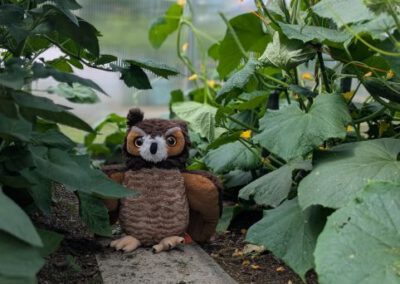 Kita Sonnenschein - Maskottchen Fritzi im Naschgarten