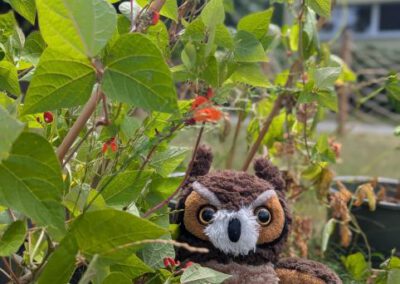 Kita Sonnenschein - Maskottchen Fritzi im Naschgarten
