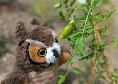 Kita Sonnenschein - Maskottchen Fritzi im Naschgarten