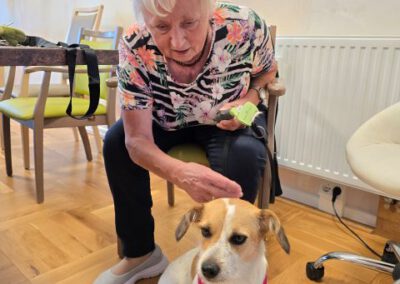 Tagespflege Reichenbach - Hund Ila wird verwöhnt